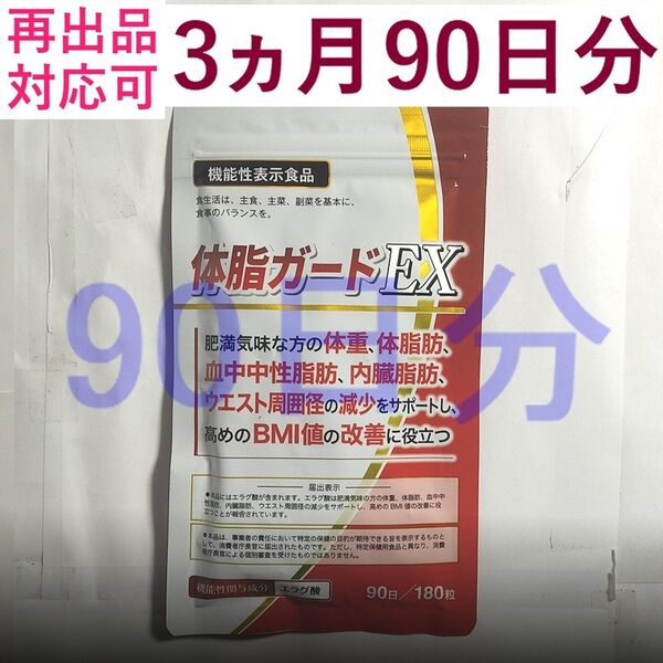 【1袋】体脂ガードEX 90日分x1袋 ダイエットサプリ BCAA カルニチン