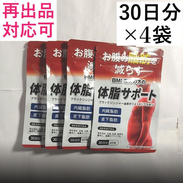 【4袋】体脂サポート 30日分×4袋 (120日分) ダイエットサプリ