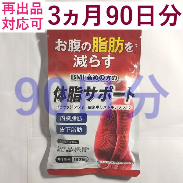 【1袋】体脂サポート 90日分 ダイエットサプリ