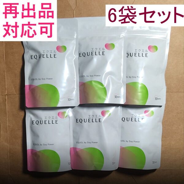 0507大塚製薬 EQUELLE エクエル パウチ 30日分(120錠)×6袋セット(720錠)