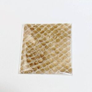 シマヘビの蛇の抜け皮 縁起物