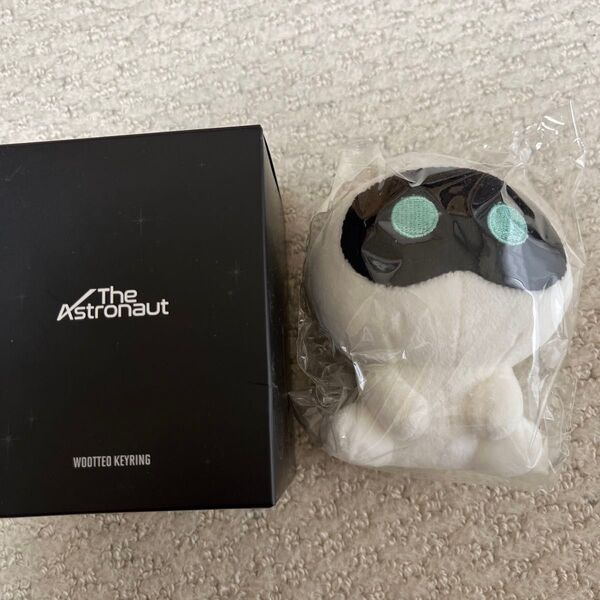astronaut bts jin wootteo ウット ジンくん ぬいぐるみ Wootteo Keyring