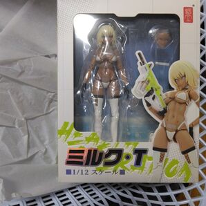 スネイルシェル ミルク T