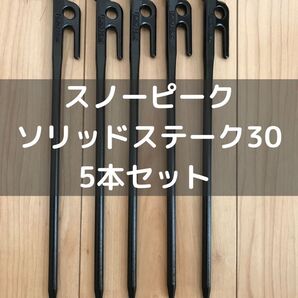 snow peak(スノーピーク) ソリッドステーク30 5本セット