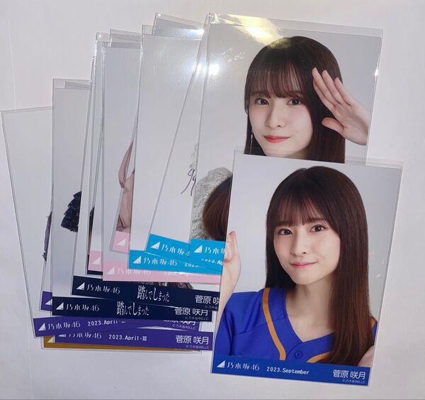 乃木坂46 生写真まとめ売り "菅原咲月" 合計14枚