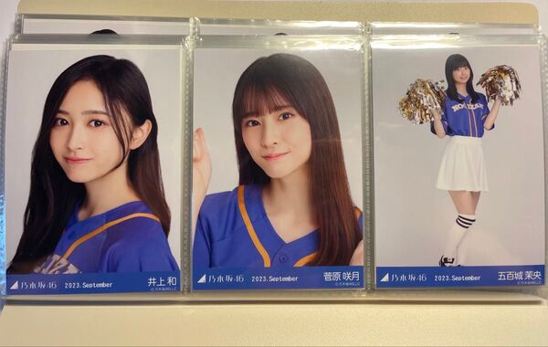 乃木坂46 生写真 "ベースボールシャツ" まとめ売り 井上和.菅原咲月など 3枚 2023.September
