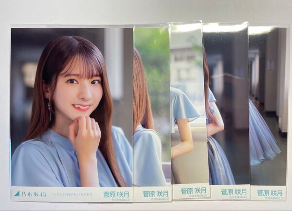 乃木坂46 個別生写真 "バンドエイド剥がすような別れ方" 菅原咲月