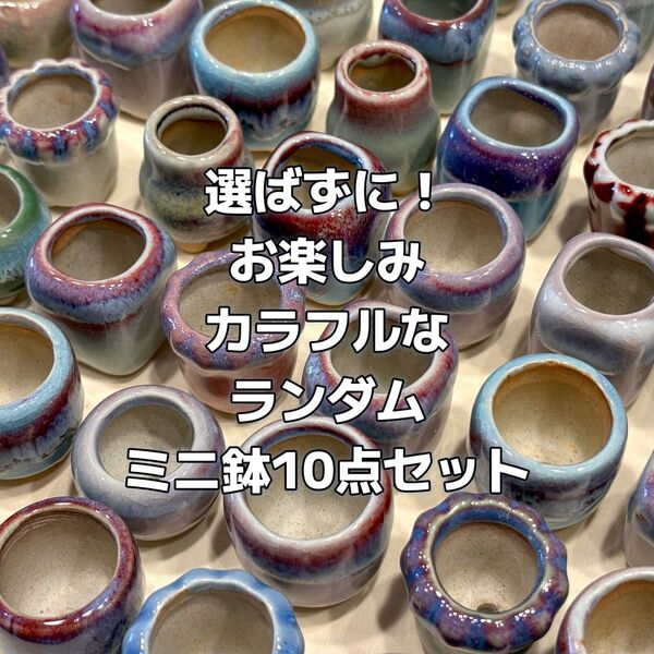ミニミニ盆栽鉢豆鉢 多肉植物ポット カラフル ランダム10点セット