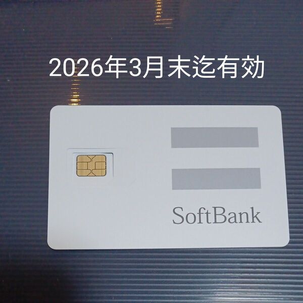 SIMカード SMS受信&データ通信用毎月1GBまで ソフトバンク