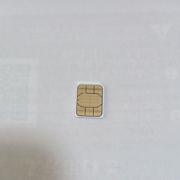 simカード SMS受信&データ通信用毎月1GBまで ソフトバンク