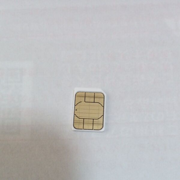 simカード SMS受信&データ通信用毎月1GBまで ソフトバンク
