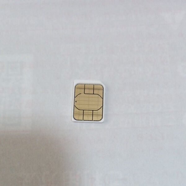 simカード SMS受信&データ通信用毎月1GBまで ソフトバンク