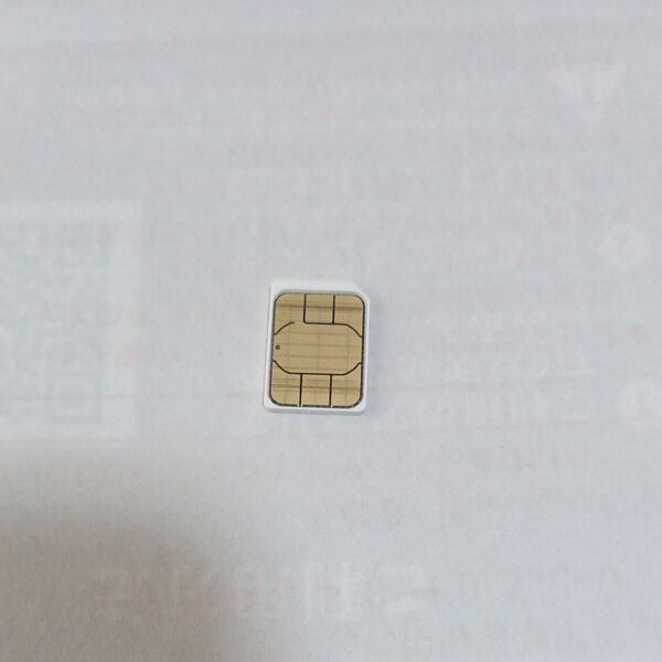 simカード SMS受信&データ通信用毎月1GBまで ソフトバンク