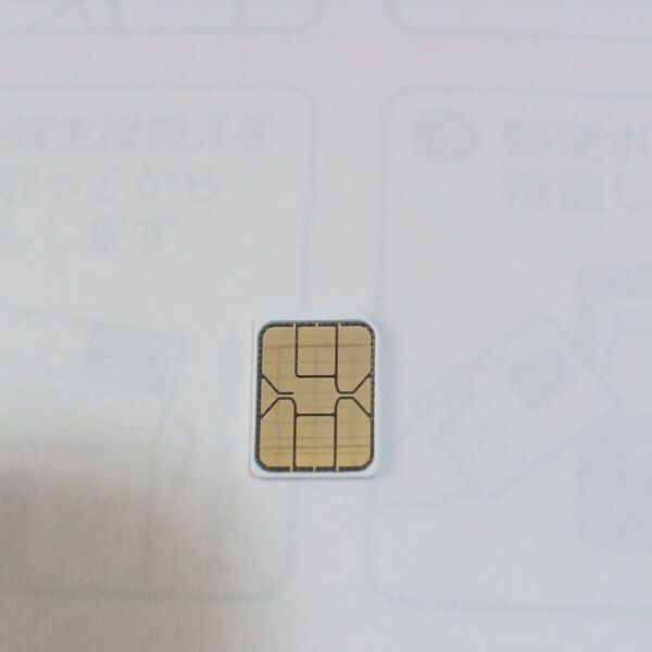 simカード SMS受信&データ通信用毎月1GBまで ソフトバンク