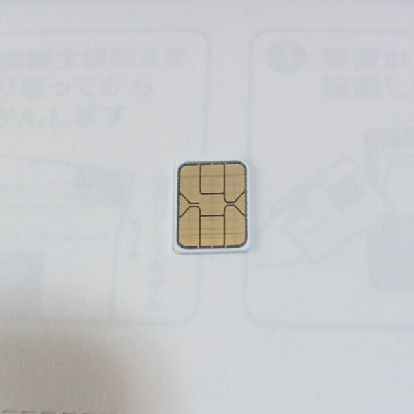 simカード SMS受信&データ通信用毎月1GBまで ソフトバンク