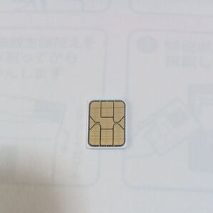 simカード SMS受信&データ通信用毎月1GBまで ソフトバンク