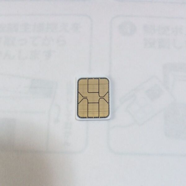 simカード SMS受信&データ通信用毎月1GBまで ソフトバンク