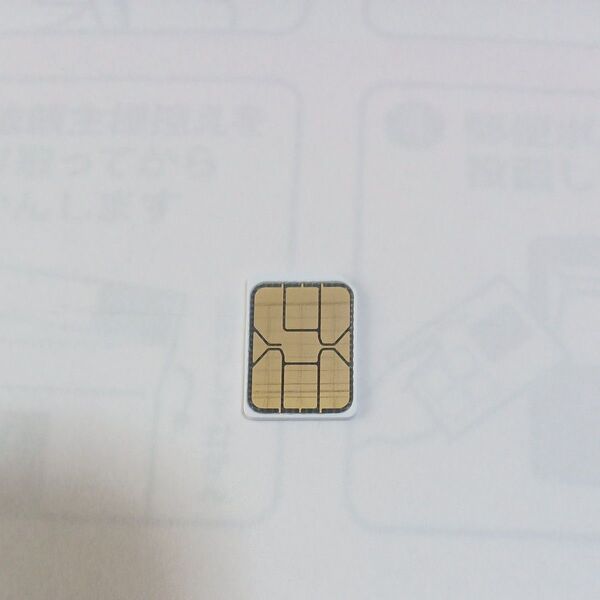 simカード SMS受信&データ通信用毎月1GBまで ドコモ