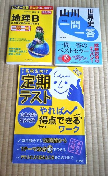 参考書 問題集 地理B 世界史 高校生向け定期テスト(古典文法・漢文句法) 対策 3冊セット