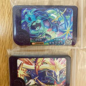 フレンダピック ゼルネアス テラパゴス