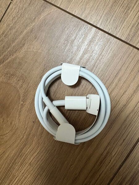iPhone Type-C アップル純正 Apple ライトニングケーブル Lightning 付属品 タイプC