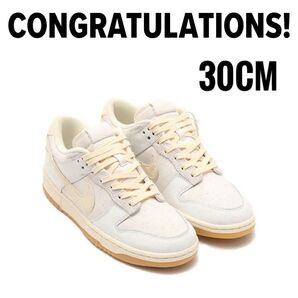 Nike Dunk Low Retro QS City Pack "Tokyo" 30cm