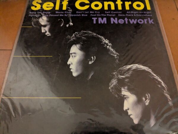 ■レトロ レコード LP TMネットワーク■