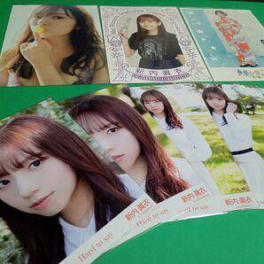 乃木坂46 新内眞衣 Hard to say個別生写真、ポストカード