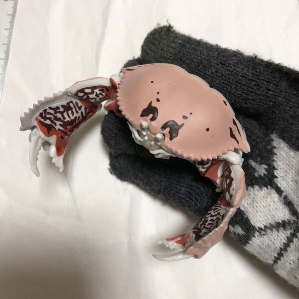 X. フィギュア メガネカラッパ 「いきもの大図鑑 かに」 ガチャガチャ