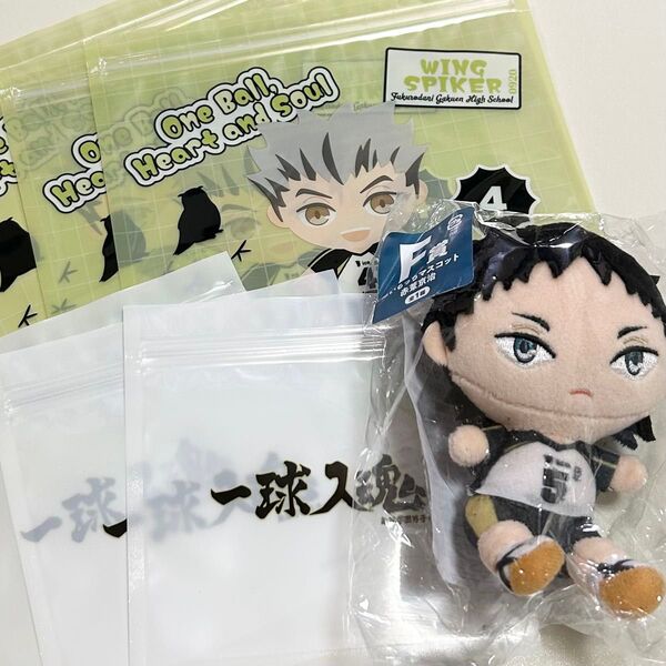 ハイキュー 木兎光太郎 赤葦京治