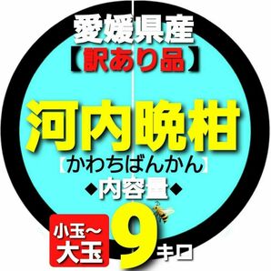 愛媛県産◇河内晩柑◆訳あり品◆小玉~大玉◇内容量9キロ。