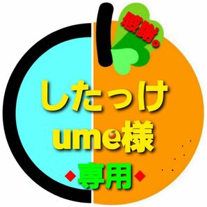 愛媛県産◆おまかせ柑橘・家庭用◆お客様専用◆