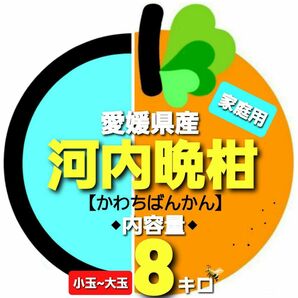愛媛県産◇河内晩柑◆家庭用◆小玉~大玉◇内容量8キロ。
