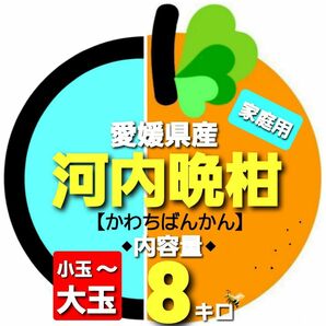 愛媛県産◇河内晩柑◆家庭用◆小玉~大玉◇内容量8キロ。