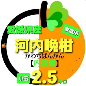 愛媛県産◇河内晩柑◆家庭用◆小玉◇内容量2.5キロ。