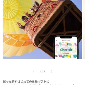 【値引き不可】アソビュー!体験カタログギフト (34,100円分 : 総合版体験ギフト「Cherish」)