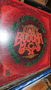 * hard-to-find * ultra rare! LPbta brand Buddhabrand / record / Japanese japa needs hip-hop limitation record 