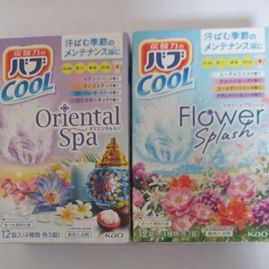 花王バブ クール24錠