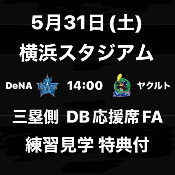 5/31(土)ベイスターズvsヤクルト☆ハマスタ内野席