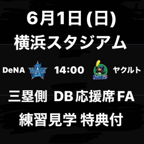 6月1日(日)ベイスターズvsヤクルト☆ハマスタ内野席