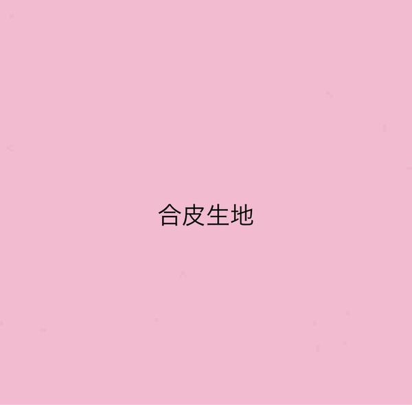合皮生地 ハギレ