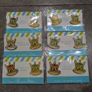 嵐 Scene 君と僕の見ている風景 ピンバッジ ピンズ 会場限定 コンプリート ARASHI グッズ