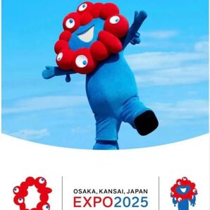大阪 関西 万博 EXPO2025 入場チケット 1枚