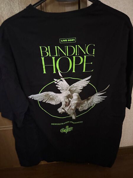 the GazettE Tシャツ フリーサイズ ガゼット