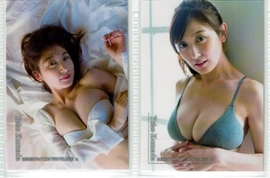 Yoko kumada promo 2 листы набор