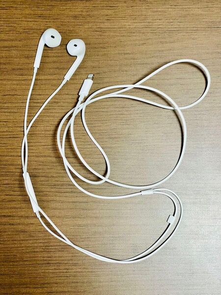 iPhone Apple EarPods 有線 純正 lightning イヤホン ジャンク