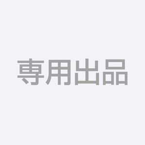 mikado様専用 PD対応 120W 急速充電マグネット USB-Cアダプター
