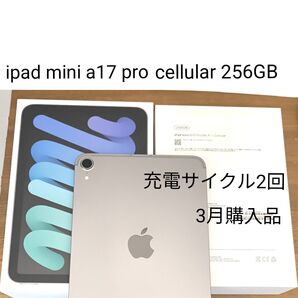 ipad mini a17 pro wifi+cellular 256GB simフリー