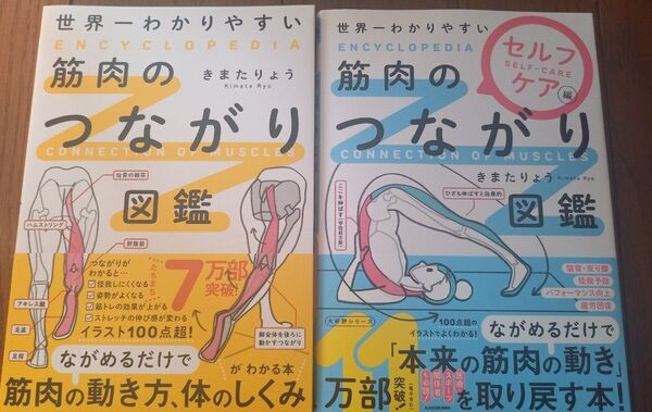 世界一わかりやすい筋肉のつながり図鑑 世界一わかりやすい筋肉のつながり図鑑 セルフケア編 きまたりょう 2冊 セット