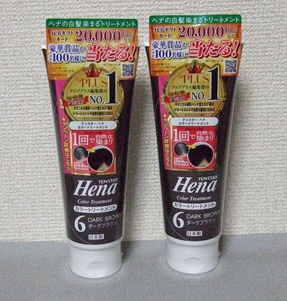 テンスターTENSTAR ヘナ カラートリートメント ダークブラウン 2個セット